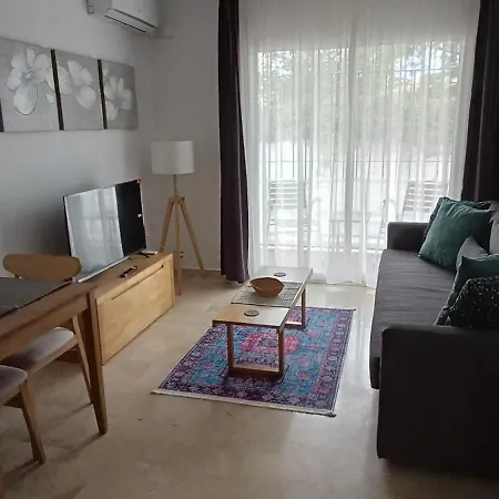 San Juan Cozy Apartment